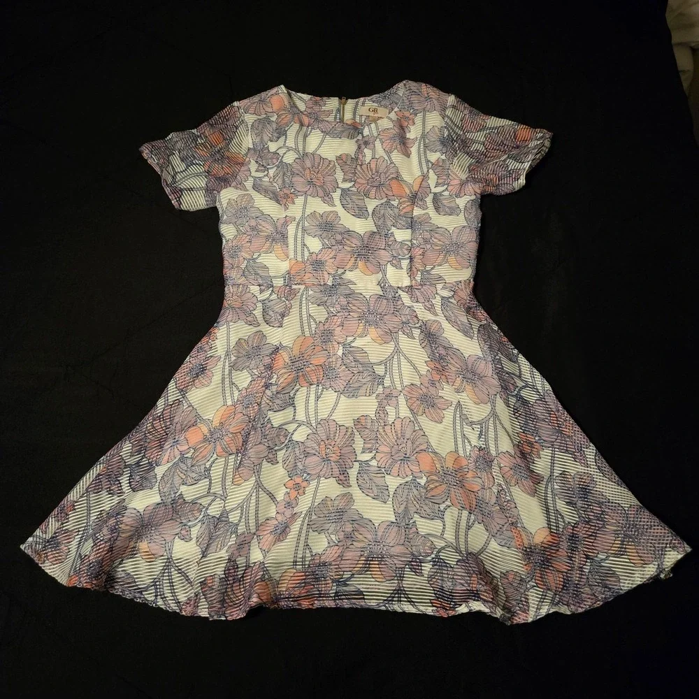 GB Girls Dress Girls 14 Multicolor Floral Pleated Cap Sleeve Fit & Flare Knee